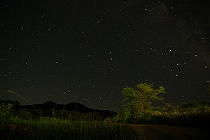 �H�c��x�Ɩ��V�̐��󂪑f���炵�������ł��B