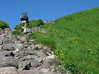 �Z���Βi�̓���o��B