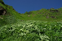 �����オ�镗���S�n�悢�B