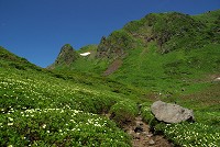 �`���O���}�̌Q�����L����B�K�C�h�u�b�N�ɂ��ڂ��Ă镗�i���I