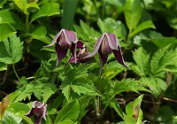 �R�~���}�n���V���E�Y��