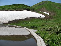 ��y���̎�������j���x�B