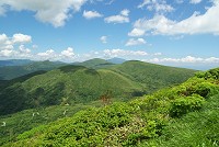 ���X�R�A�����R�Aꡂ��Ɋ��R�������Ă���B