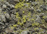 �����̌��������������ɂ���B