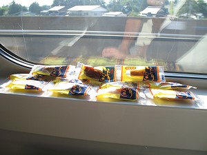 ����u���Ԃ肪�����v�I�I�@�A��̂���ɍœK�I�H