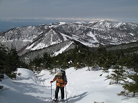 �w��̑�p�m���}�������I�@�A���v�X����]���I�I