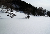 �˔@���R�ȏꏊ�ɔ�яo��B