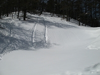 �}�ȎΖʂ������猩��Ƃ���قǂł��Ȃ��H