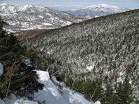 �ቺ�ɂ̓V���r�\�̐X���L����B