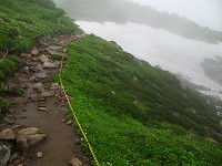 ���ԉ��t�߁B���J���~���Ă��܂����B