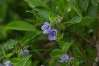 �G�]�q���N���K�^