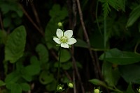 �E���o�`�\�E