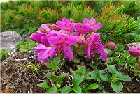 �G�]�c�c�W