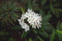 �G�]�C�\�c�c�W�B�q���C�\�c�c�W�Ƃ����̂����R�ɂ͂���B