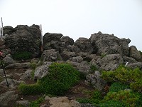 �j���R�̎R���̊��B