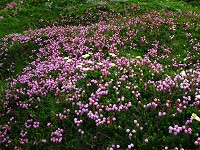 �G�]�m�c�K�U�N���̑�Q���I