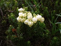 �A�I�m�c�K�U�N��