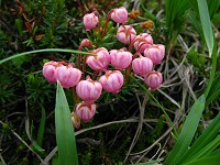 ��������G�킾�B