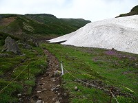 �J�̒ꕔ�͂܂���k���c��B