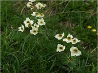 �G�]�m�n�N�T���C�`�Q