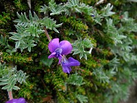 �G�]�I���}�m�G���h�E�B