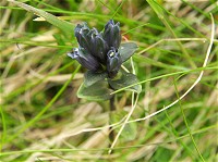 ���������R���}�����h�E�B