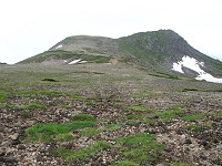 �U��Ԃ�Δ��_�x���]�߂�B