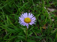 �~���}�A�Y�}�M�N