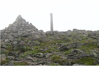 �Ίx�R�����K�X�ŕ����Ă܂����B