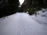 ���΂炭�͉^���p�̓��H������܂����B