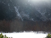 �Ⴊ�L���L���ƕ����B