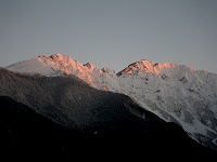 ���䍂�̕􂪃����Q�����[�g�ɐ��܂�n�߂�I