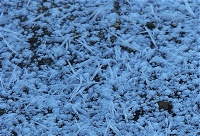 �|�P�O���߂��Ƃ���ȑ��̌������o����B