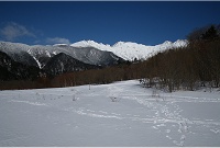 �吳�r�̉͌��ɂ������͂�ῂ����΂��肾�B