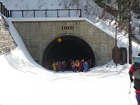 �g���l������o�Ă���N���u�c�[���Y���̒c�́B