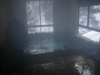 ����炵������̍⊪����B���Ԃ������ς��ł����B