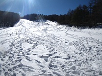 �L��ȎΖʁI�I�@�����͉Ăɂ͂��Ԕ��ɂȂ�炵���B