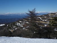 �����̐����ɍL����ጴ����͖k�A���v�X�������Ă܂��܂������I�I