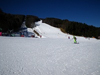 �x�m���p�m���}�X�L�[��B��z���󂢂Ă�̂Ō���ł���B