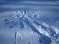 �V�^�̐l�^�I�I