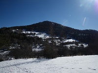 ���R�ւ̓r�����猩�����}�R�B�}�̌`�����Ă��邩��̖��O���ȁH