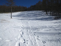 ���}������o��B���������L�c�C�Ζʂ��I