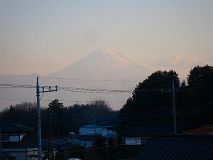 �ԑ�����̗[�Ă��Ƃ�x�m�R�B