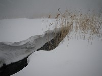 ���������̂悤�Ȍ��i�B