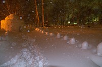 �召�̂��܂��炪���ԁu���܂���Ղ�v�B