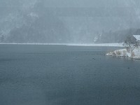 ����ƌ��������m�΁B