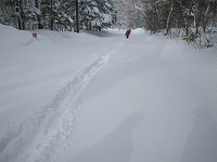 �[��𓥂�œW�]��Ɍ������B