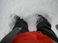 �[���Ƃ���ł͕G��ł����B