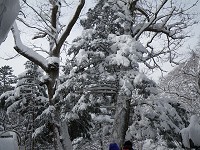 ���Ⴊ�����ł��B