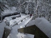 ��s���邨�������B